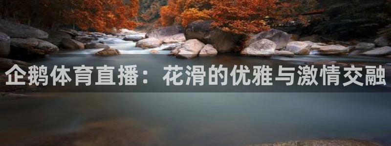 360直播篮球
